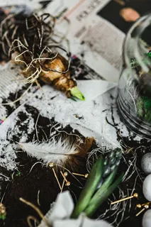 一位妇女在一张铺着鹌鹑蛋的报纸桌子上种苗