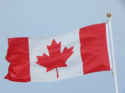 加拿大国旗,加拿大国旗,加拿大国旗,枫叶,加拿大国旗,国家国旗 加拿大国旗,加拿大国旗,加拿大国旗,枫叶,加拿大国旗,国家国旗