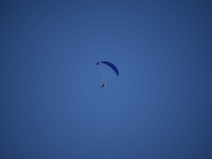 冒险、休闲活动、滑翔、动物、鸟类、降落伞、巴西、飞行