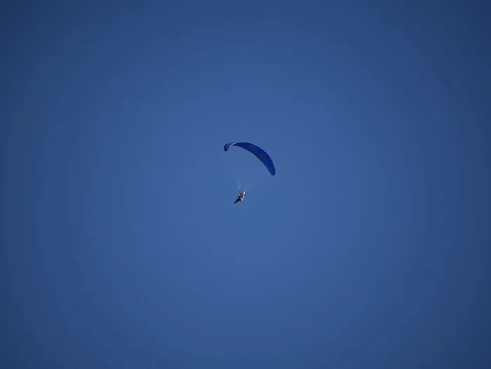 冒险、休闲活动、滑翔、动物、鸟类、降落伞、巴西、飞行