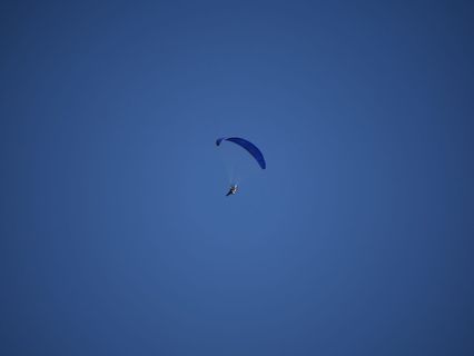 冒险、休闲活动、滑翔、动物、鸟类、降落伞、巴西、飞行