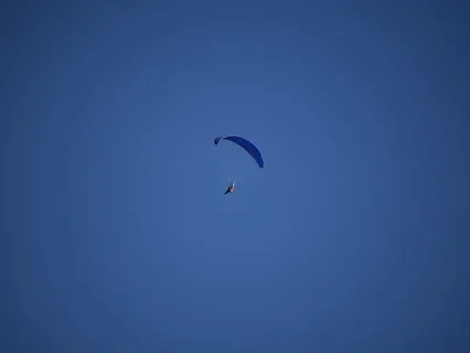 冒险、休闲活动、滑翔、动物、鸟类、降落伞、巴西、飞行