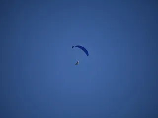 冒险、休闲活动、滑翔、动物、鸟类、降落伞、巴西、飞行