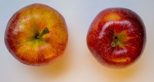 阿拉伯联合酋长国、阿布扎比、摄影、色调、黄色、新鲜、味道、色调