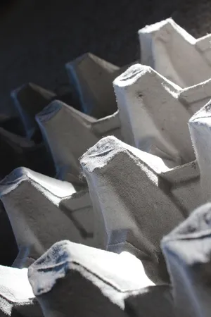 彩蛋盒，黑白，白色，纸盒，黑色，复活节，食物，鸡肉