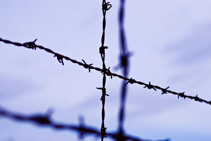 选择性、聚焦摄影、交叉、带刺、铁丝网、日间、Kz Dachau、Konzentrantionslager