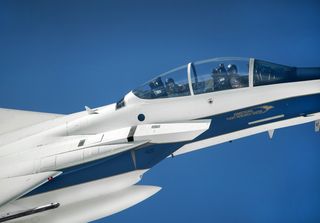 二，男人，战斗喷气机，喷气机，飞机，f-15d，鹰，美国宇航局
