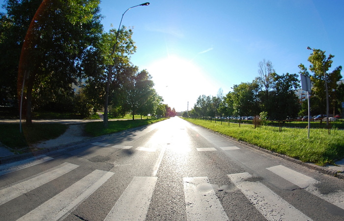 街道、安全带、斑马线、人行横道、kielce、树、植物、天空