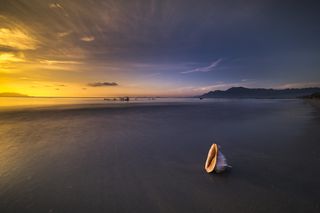 海岸线旁的白色海螺壳