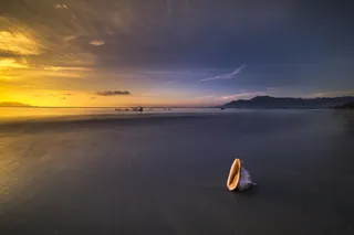 海岸线旁的白色海螺壳