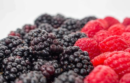 覆盆子，黑莓，浆果，水果，蓝莓，食品和饮料，食品，浆果