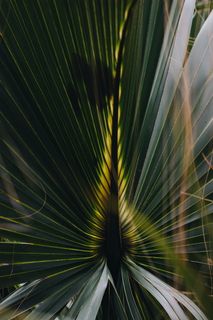 绿、红、蓝抽象画