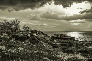 坦克，废弃的，生锈的，荒野，风景，天空，云，海