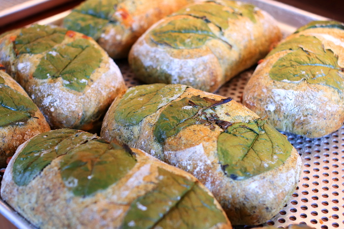 面包，芝阿凡达，蔬菜，小吃，食品，咖啡馆，营养，餐饮