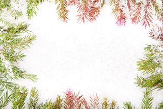 圣诞节，冷杉，框架，明亮，庆祝，圣诞树，特写，装饰