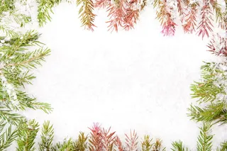 圣诞节，冷杉，框架，明亮，庆祝，圣诞树，特写，装饰