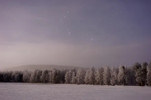 雪,覆盖,松树,拍摄,白天,树木,照片,海洋 雪,覆盖,松树,拍摄,白天,树木,照片,海洋