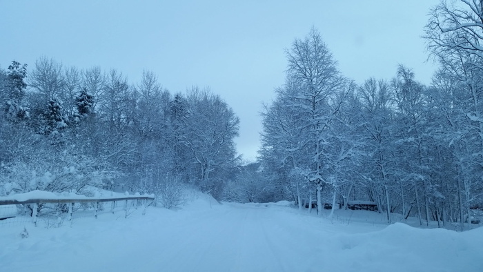 冬季，冬季风景，风景摄影，斯堪的纳维亚半岛，北欧，挪威，寒冷，下雪