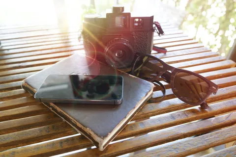 木, 景观, 太阳镜, 相机, 书, 日光, iphone, 项目