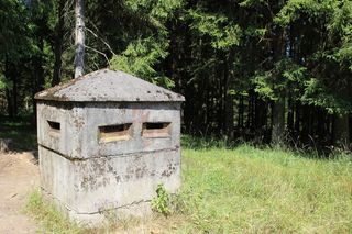 沙坑、边界、ddr、历史、树脂、植物、树木、土地