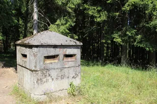 沙坑、边界、ddr、历史、树脂、植物、树木、土地