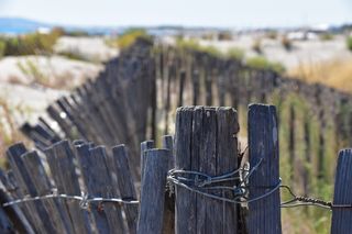 屏障、塞特、海滩、自然、海洋、围栏、木质材料、边界