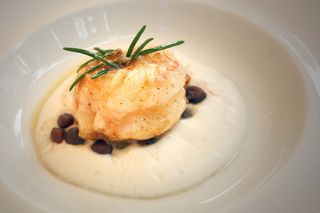 食品、菜肴、产品、奶油、乳制品、绿豆、厨房、高品质