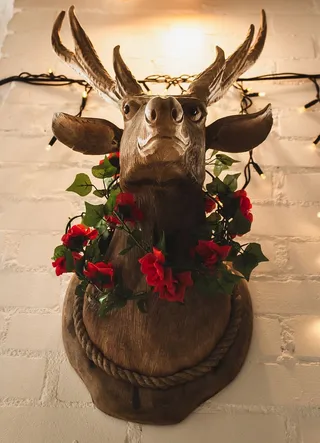 植物，花，花，插花，花束，菠萝，水果，食物