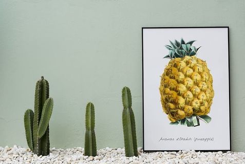 空白、木板、仙人掌、复制空间、装饰、设计空间、框架、家居装饰