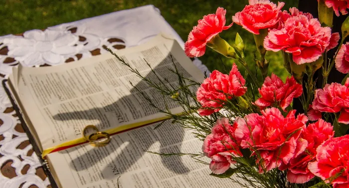 圣经，联盟，祝福，祈祷，花，开花的植物，花，植物