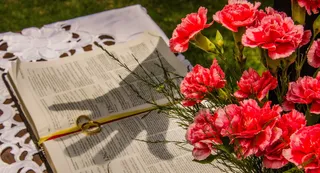 圣经，联盟，祝福，祈祷，花，开花的植物，花，植物