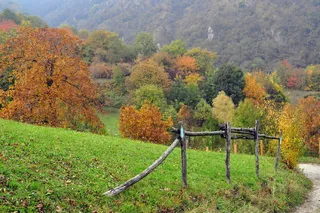秋天，树木，自然，景观，路径，树叶，秘密，大气