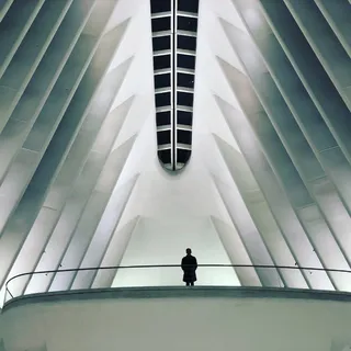 oculus,世贸中心,剪影,男人,建筑,车站,曼哈顿,阳台 oculus,世贸中心,剪影,男人,建筑,车站,曼哈顿,阳台