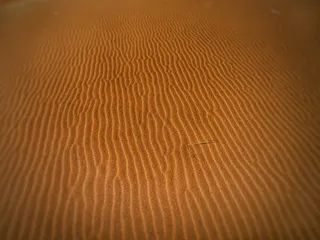 沙漠，干燥，沙丘，沙丘，炎热，沙子，沙丘，沙地