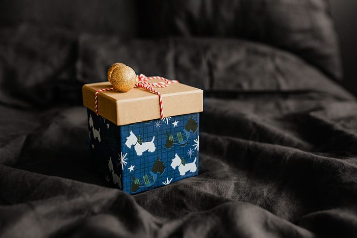 送给可爱小狗的圣诞礼物