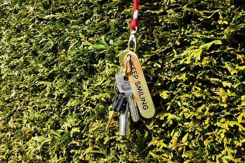 钥匙，钥匙链，门，通道，安全，锁，篱笆，红豆杉