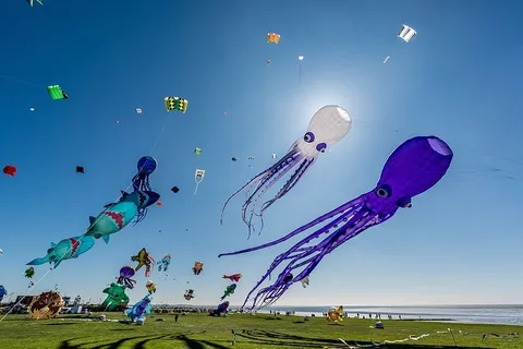北欧,海滩,龙,北海,假日,北方,飞翔,天空 北欧,海滩,龙,北海,假日,北方,飞翔,天空