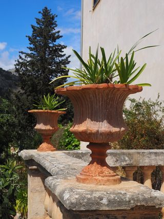 花瓶、花盆、陈设、古董、阳台、植物、无人、自然