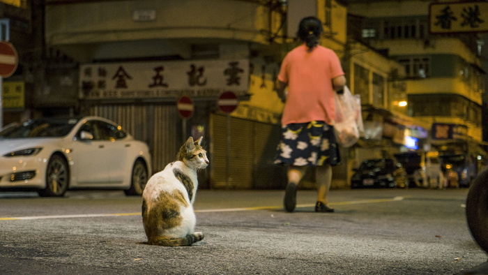 街道、人、道路、城市、城市、室外、人行道、夜景