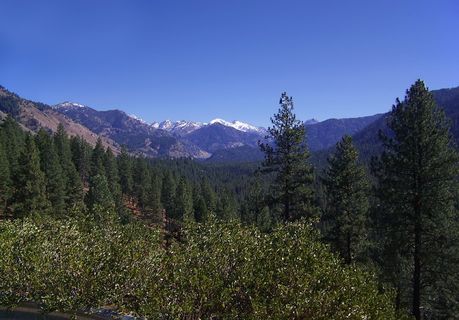 锯齿，山脉，爱达荷州，美国，松树，森林，景观，秋天