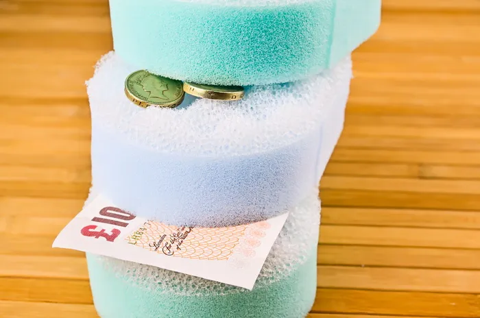 海绵，海绵，清洁，洗涤，浴室，硬币，赚钱，美元