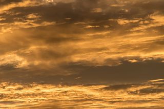 日落，天空，橙色，灰色，云，分层，地平线，树木