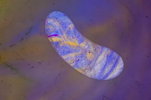 艺术, 气泡, 颜色, 树脂, 流体, 蓝色, 油漆, 绘画