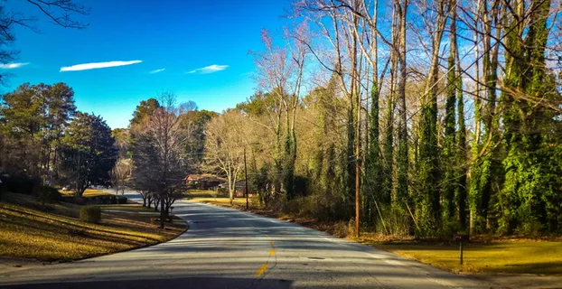 亚特兰大,树木,树林,树木,植物,道路,方向,前进的道路 亚特兰大,树木,树林,树木,植物,道路,方向,前进的道路