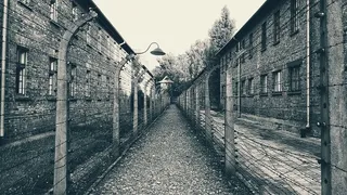 波兰，奥维西姆，吉隆坡奥斯威辛，走廊，奥斯威辛，死亡，恐怖，建筑