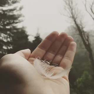 在多云的天空下,在树旁拿着白色羽毛的人 在多云的天空下,在树旁拿着白色羽毛的人