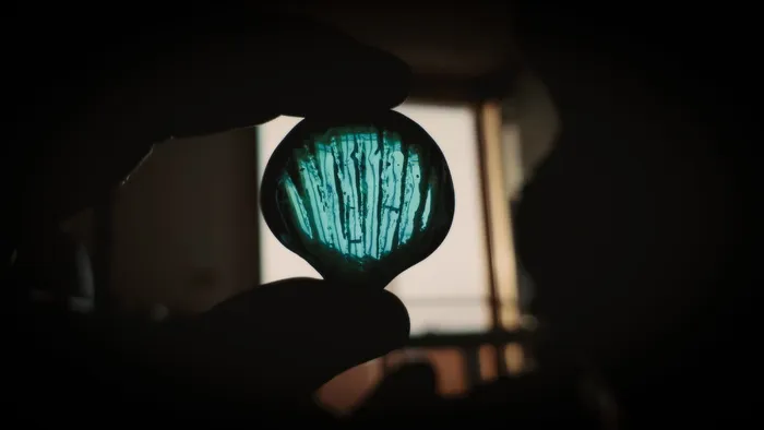 玻璃，外壳，自由度，对比度，宏，模糊，阴影，青色