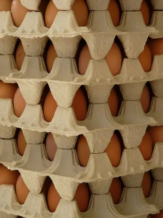 鸡蛋，鸡蛋盒，食物，背景，棕色，图案，全框架，并排