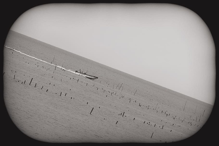 纸张、特写、文字、室内、手写、小插曲、教育、无人