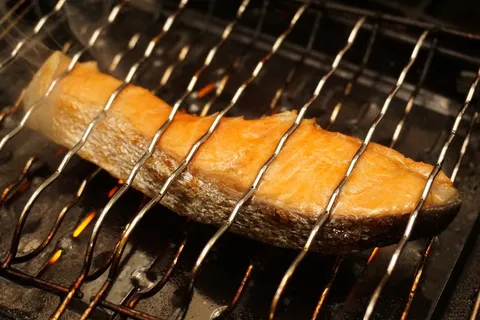 三文鱼,烤三文鱼,烤鱼,鱼,鱼片,烤,食品,日本食品 三文鱼,烤三文鱼,烤鱼,鱼,鱼片,烤,食品,日本食品